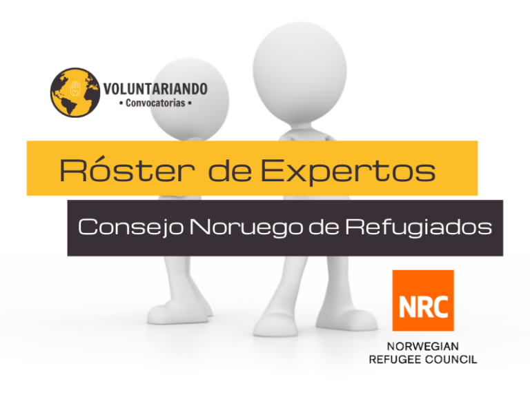 R Ster De Expertos Para El Consejo Noruego De Refugiados Norcap